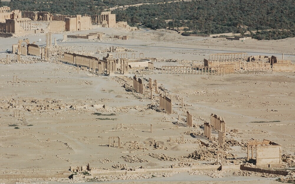 Bild 3 Palmyra